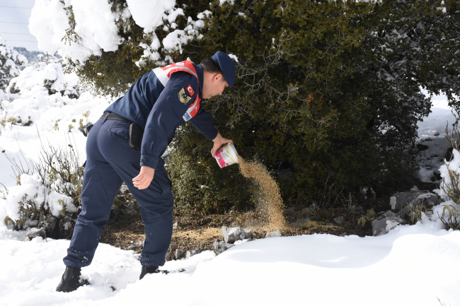 Ekipler zorlu kış şartlarında da kırsal bölgelerde sokak ve yaban hayvanları için yem ve mama bırakıyor.