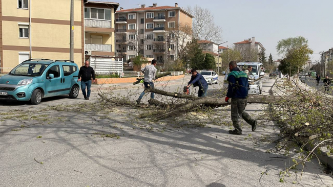 Ege'de fırtına çatıları uçurdu, araçlar zarar gördü