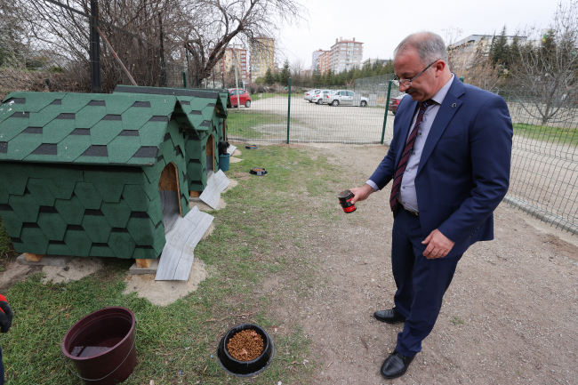 Devlet Arşivleri Başkanlığı bahçesini sahipsiz hayvanlara ayırdı