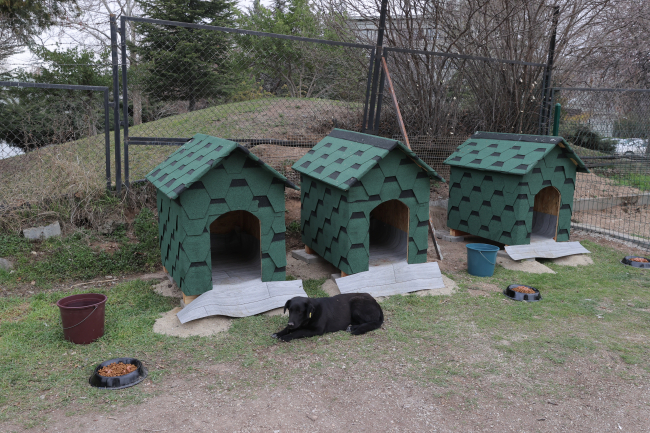 Devlet Arşivleri Başkanlığı bahçesini sahipsiz hayvanlara ayırdı