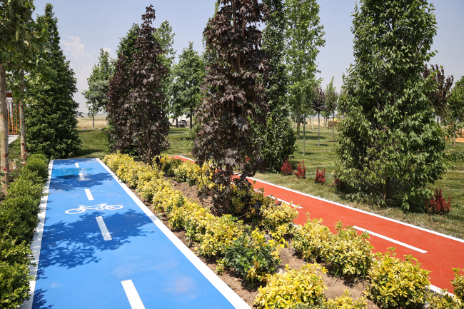 İstanbul'a yeni millet bahçesi: Fethin yıl dönümünde ilk fidan dikilecek