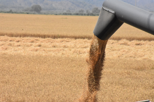 Tarım grubundan rekor ocak-mayıs ihracatı
