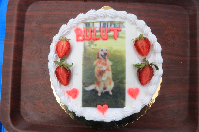 'Bulut' madalyasını alarak emekli oldu