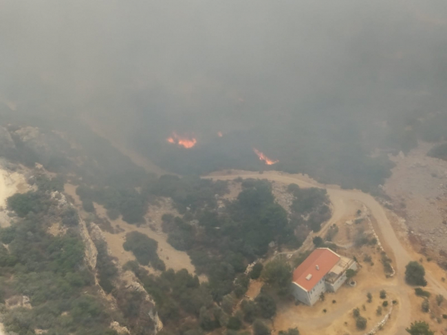 Muğla'da orman yangını