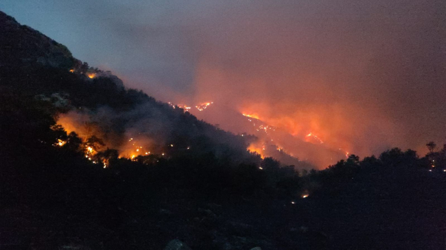 Muğla'daki yangın 2. gününde: Müdahale sürüyor