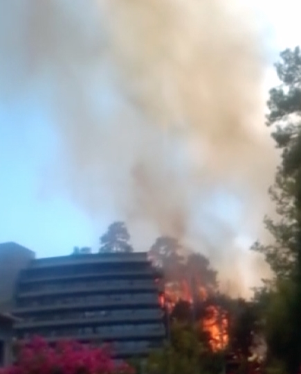 AFAD: Marmaris'teki otelde konaklayanlar tahliye edildi, yaralanan yok