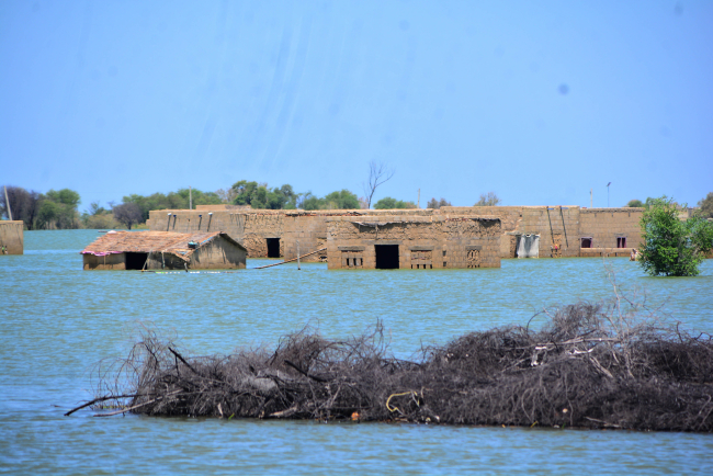 Pakistan'daki sel | Fotoğraf: AA