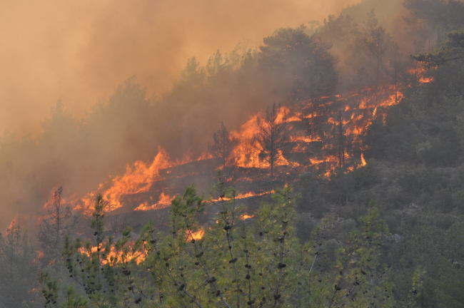 Mersin'deki orman yangını için Mehmetçik seferber oldu
