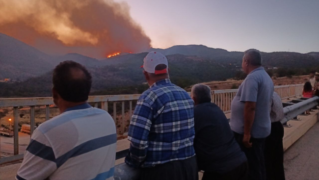 Mersin'de orman yangını: Mersin-Antalya kara yolu ulaşıma kapandı