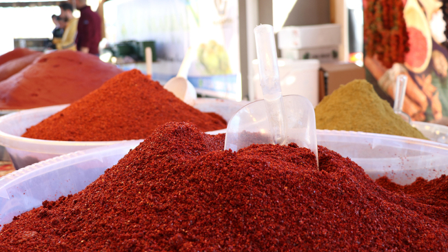 Ankara'da gastronomi festivali