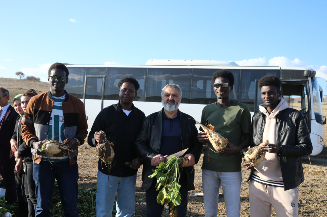 Tokat'ta Afrikalı öğrenciler pancar hasadına katıldı