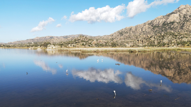 Bafa Gölü yüzlerce kuş türlerine ev sahipliği yapıyor