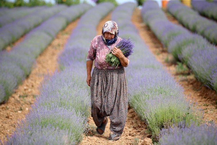 Fotoğraf: AA