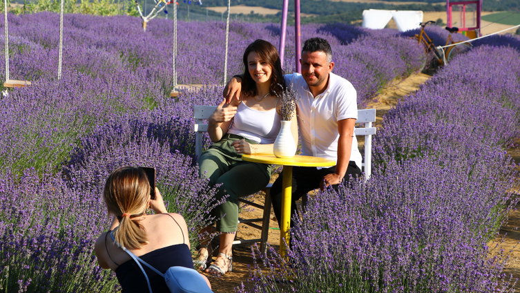 Tekirdağ'da mor tarlalar bayramda ziyaretçi çekiyor