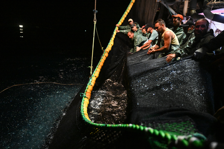 Fotoğraf: AA Arşiv