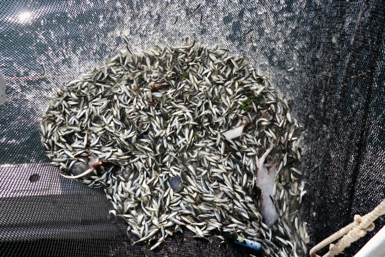 Fotoğraf: AA Arşiv