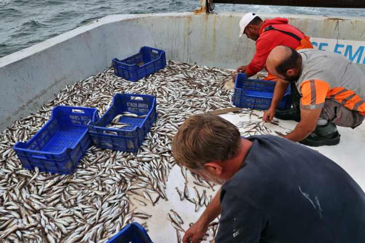 Fotoğraf: AA Arşiv