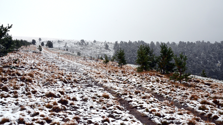 Kars'ın yüksek kesimleri beyaza büründü