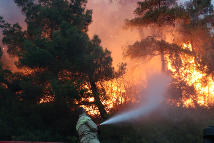 Orman yangınıyla mücadelede 'yapay zekâ' dönemi