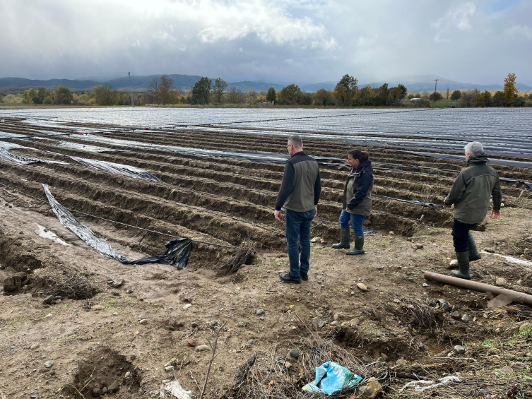 Çanakkale'deki şiddetli yağış 7 bin dönüme yakın tarım arazisine zarar verdi