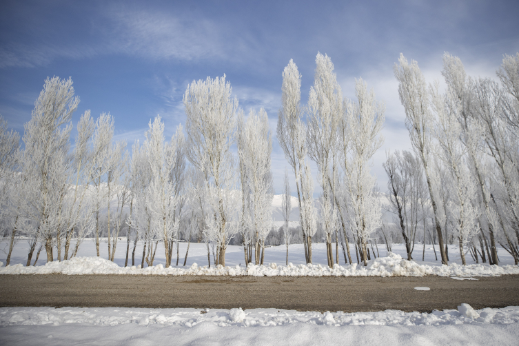 Erzurum, Tunceli, Ağrı, Ardahan ve Kars'ta kar yağışı etkili oluyor