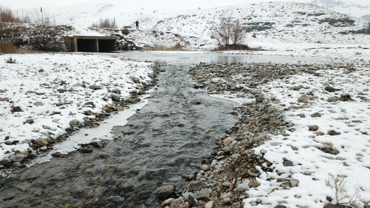 Erzurum, Tunceli, Ağrı, Ardahan ve Kars'ta kar yağışı etkili oluyor