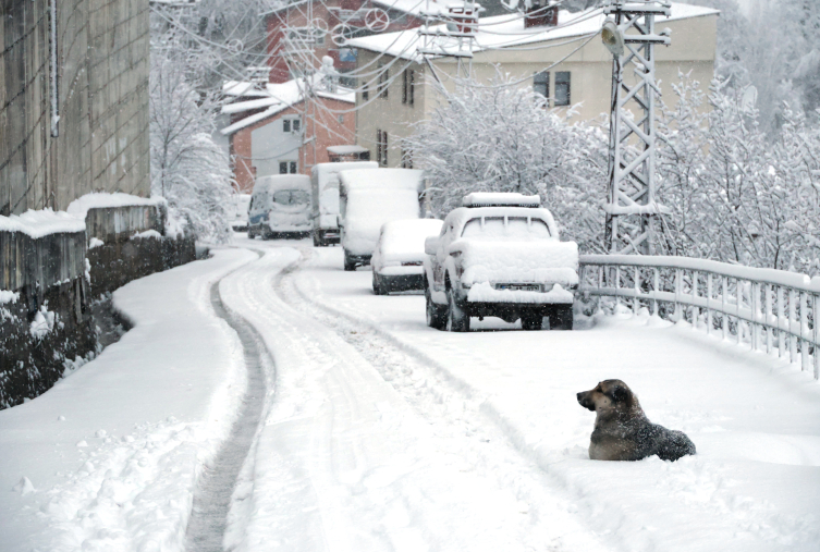 Karadeniz'de kar nedeniyle 343 yerleşim yerine ulaşım sağlanamıyor