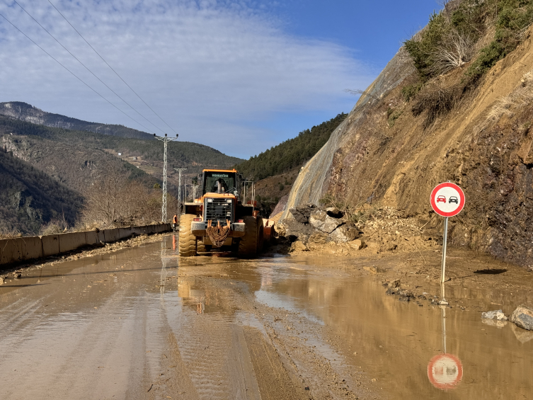 Artvin'de sel ve heyelan riski nedeniyle 5 bina boşaltıldı