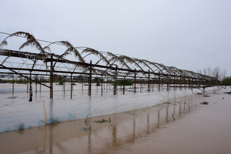 Antalya'daki selde bin 948 dekar tarım alanı zarar gördü