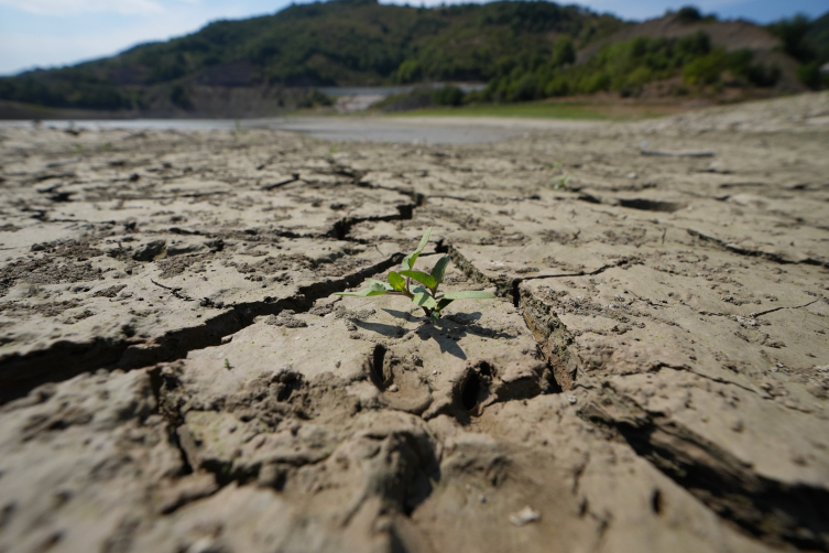 Arazi toplulaştırılıyor, toprak korunuyor