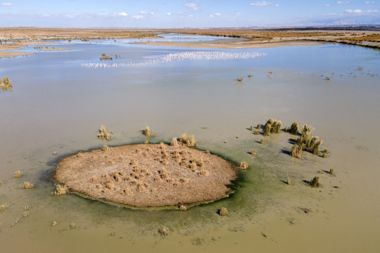 Arazi toplulaştırılıyor, toprak korunuyor