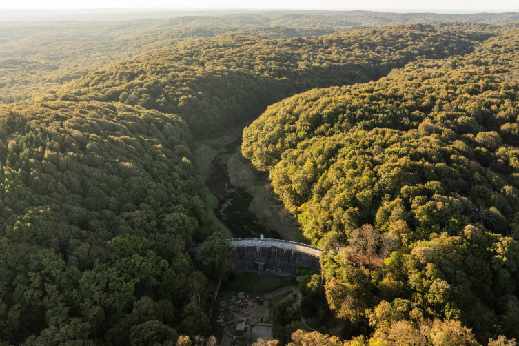 Türk ormancılığının kurucusu Hoca Ali Rıza’ya özel anma
