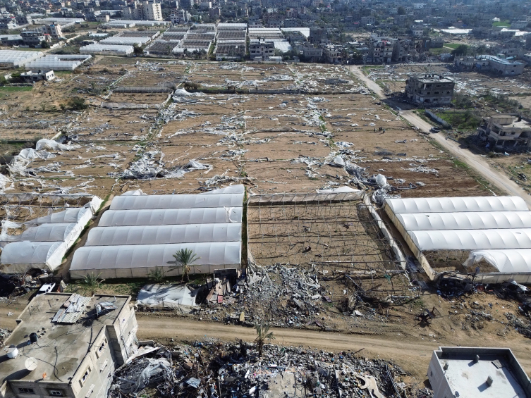 Gazze’de tarım altyapısının yüzde 89’u hasar gördü