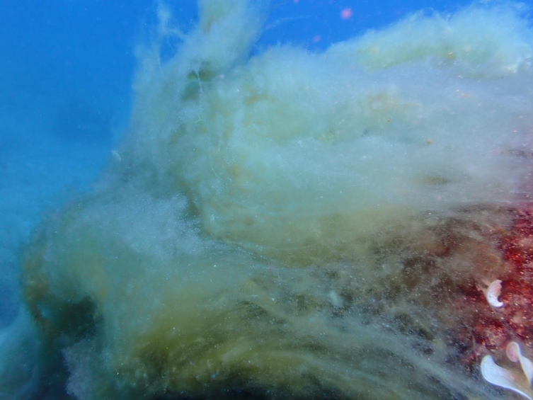 Türkiye’nin çehresini değiştirecek sanayi hamlesi