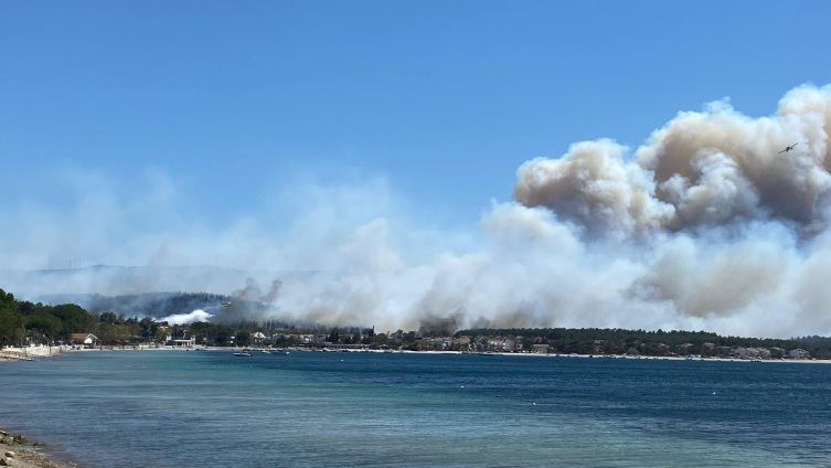 Çanakkale'de orman yangını