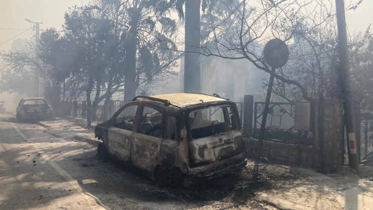 Çanakkale'de orman yangını