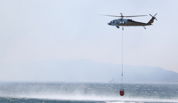 Çanakkale'de orman yangını