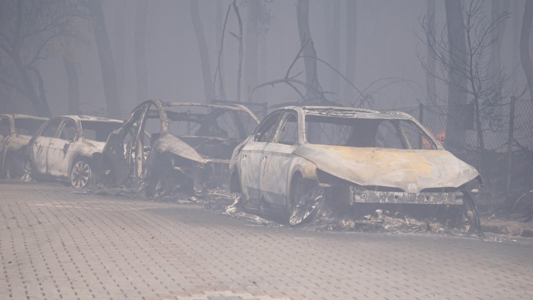 Çanakkale'de orman yangını