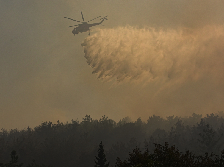 Orman yangınlarıyla mücadele sürüyor