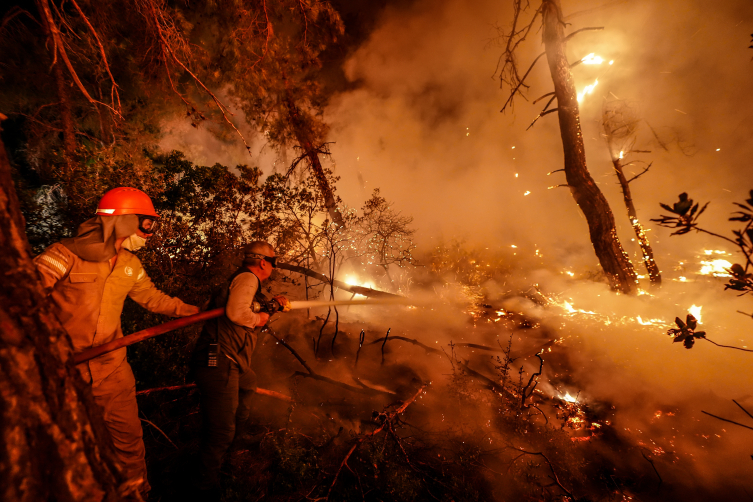 Orman yangınlarıyla mücadele sürüyor