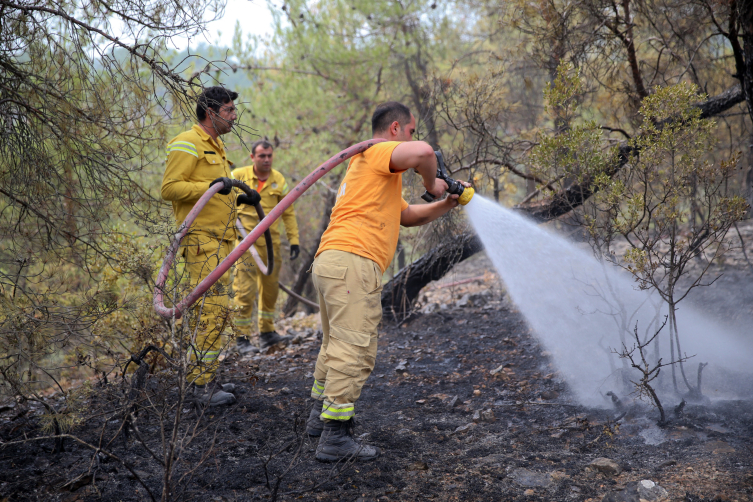 Kastamonu-Karabük sınırındaki iki orman yangını kontrol altına alındı