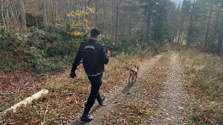 Kastamonu’da kaybolan anne ve 5 yaşındaki oğlundan 9 gündür haber alınamıyor