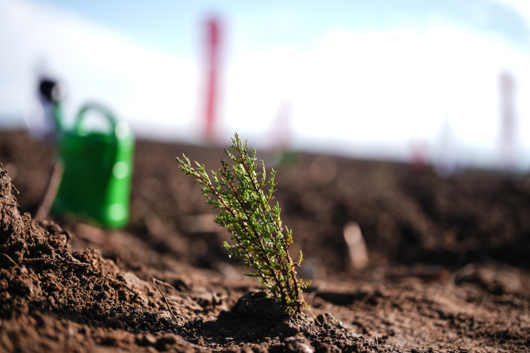 Milli Ağaçlandırma Günü’nde çifte rekor