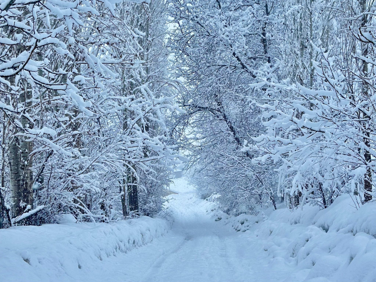 İklim değişikliği halk meteorolojisini değiştirdi