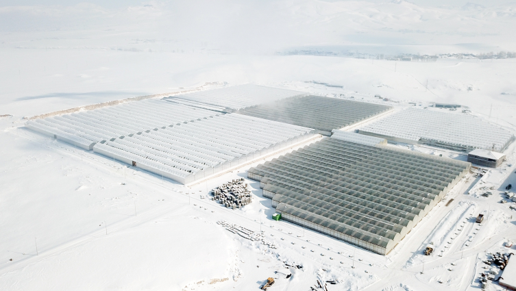 Organize Tarım Bölgelerine jeotermal sera dopingi