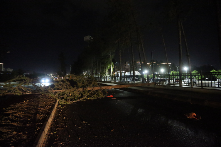 Hatay'da fırtına: Tekneler battı, çatılar uçtu, ağaçlar devrildi