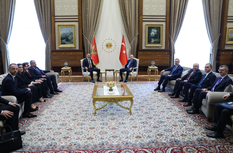 Cumhurbaşkanı Erdoğan, Karadağ Başbakanı Spajic'i kabul etti