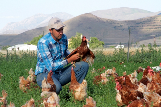 Genç girişimci, kentlere köy yumurtası satıyor