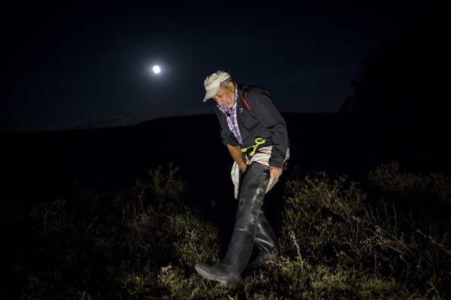"Kurbağacı Savaş"ın ekmek kavgası