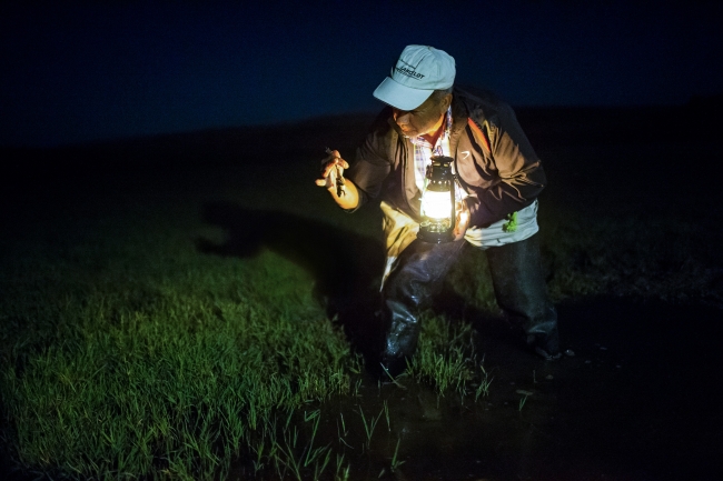 "Kurbağacı Savaş"ın ekmek kavgası